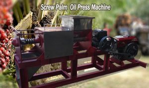 screw press kelapa sawit